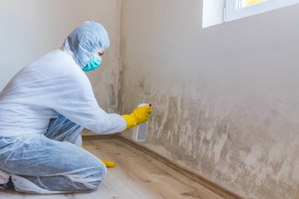 Mold inspector in Coatesville performing thermal imaging